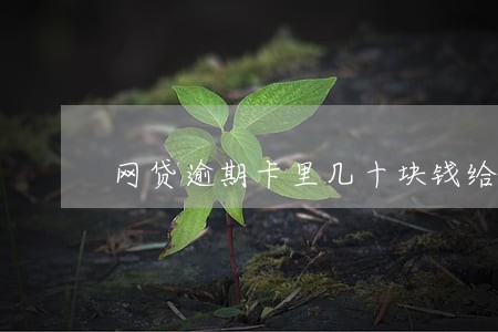 网贷逾期卡里几十块钱给扣走了 网贷逾期卡里几十块钱给扣走了