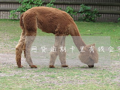 网贷逾期卡里有钱会不会被扣 网贷逾期卡里有钱会不会被扣