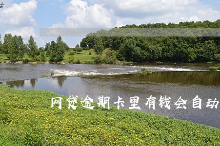 网贷逾期卡里有钱会自动扣吗 网贷逾期卡里有钱会自动扣吗