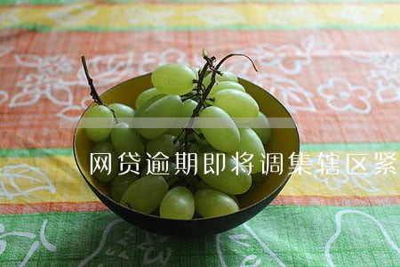 网贷逾期即将调集辖区紧急处理 网贷逾期即将调集辖区紧急处理