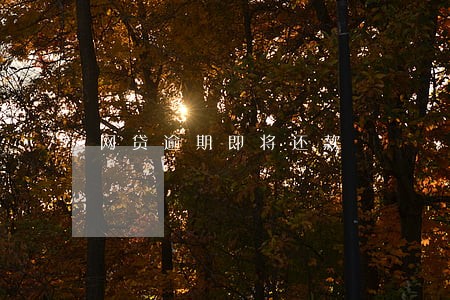 网贷逾期即将还款 网贷逾期即将还款