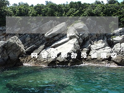 网贷逾期却没被催收
