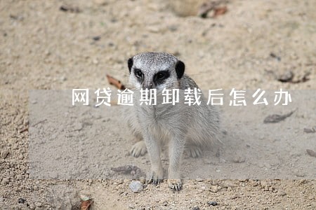 网贷逾期卸载后怎么办 网贷逾期卸载后怎么办