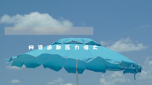 网贷逾期压力很大 网贷逾期压力很大