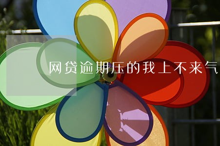 网贷逾期压的我上不来气 网贷逾期压的我上不来气