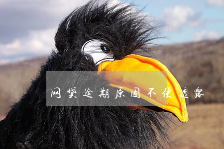 网贷逾期原因不便透露 网贷逾期原因不便透露