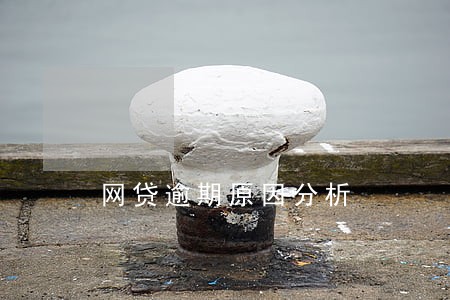 网贷逾期原因分析 网贷逾期原因分析