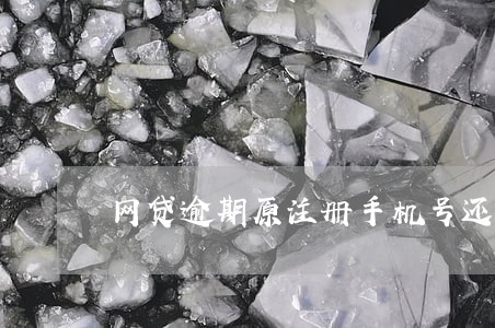 网贷逾期原注册手机号还敢用吗 网贷逾期原注册手机号还敢用吗