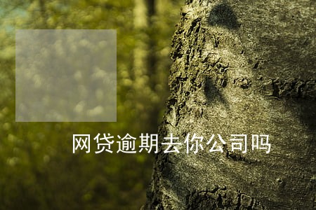 网贷逾期去你公司吗 网贷逾期去你公司吗