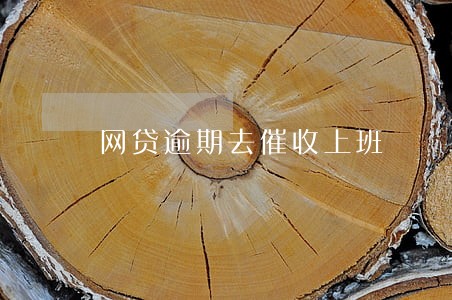 网贷逾期去催收上班 网贷逾期去催收上班