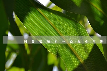 网贷逾期去办信用卡有影响没 网贷逾期去办信用卡有影响没