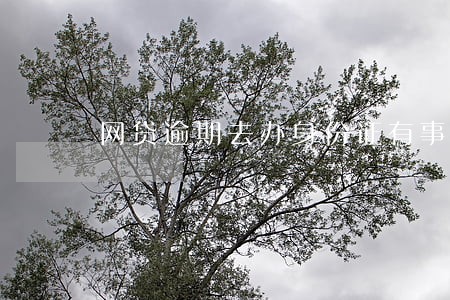 网贷逾期去办身份证有事吗 网贷逾期去办身份证有事吗