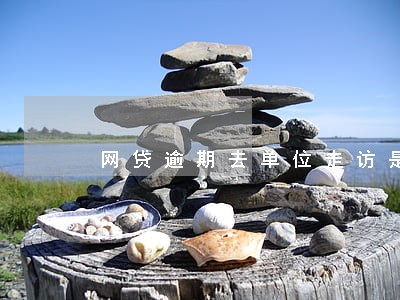 网贷逾期去单位走访是真的吗