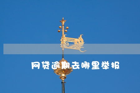 网贷逾期去哪里举报 网贷逾期去哪里举报