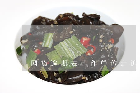 网贷逾期去工作单位走访的吗 网贷逾期去工作单位走访的吗