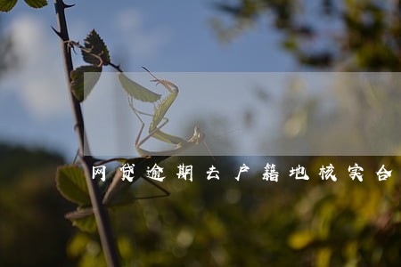 网贷逾期去户籍地核实合法吗 网贷逾期去户籍地核实合法吗