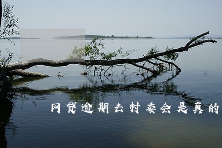 网贷逾期去村委会是真的吗