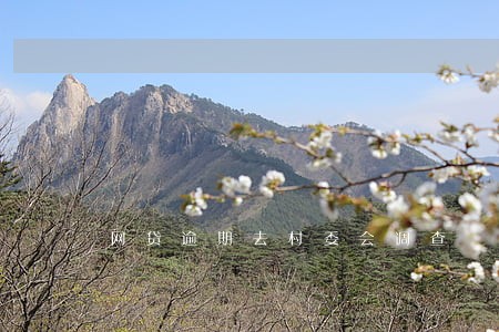 网贷逾期去村委会调查