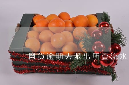 网贷逾期去派出所查流水 网贷逾期去派出所查流水