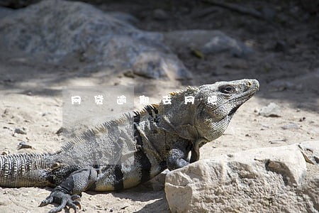 网贷逾期去网吧 网贷逾期去网吧