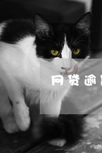 网贷逾期去警察局会怎样 网贷逾期去警察局会怎样