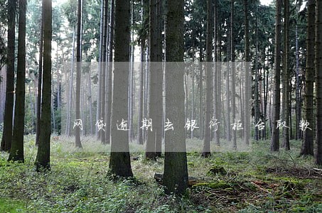 网贷逾期去银行柜台取款 网贷逾期去银行柜台取款