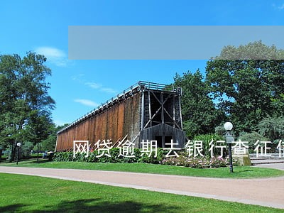 网贷逾期去银行查征信 网贷逾期去银行查征信