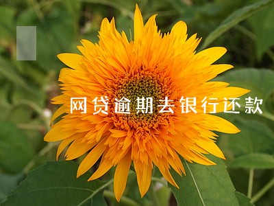 网贷逾期去银行还款 网贷逾期去银行还款