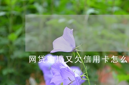 网贷逾期又欠信用卡怎么办