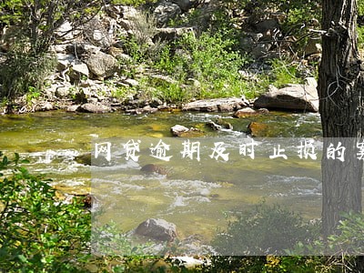 网贷逾期及时止损的案例 网贷逾期及时止损的案例