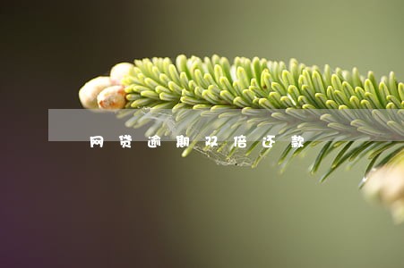 网贷逾期双倍还款 网贷逾期双倍还款