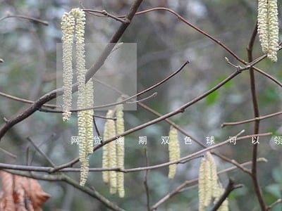 网贷逾期双色球可以领奖吗 网贷逾期双色球可以领奖吗