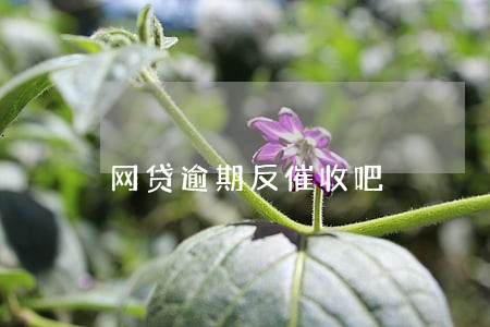 网贷逾期反催收吧 网贷逾期反催收吧