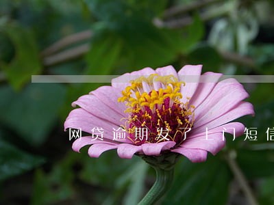 网贷逾期发了上门短信是真的吗 网贷逾期发了上门短信是真的吗