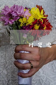 网贷逾期发了债务催告函 网贷逾期发了债务催告函