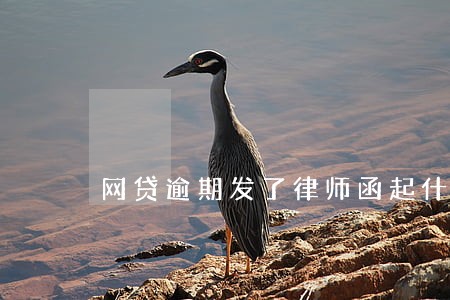 网贷逾期发了律师函起什么作用 网贷逾期发了律师函起什么作用