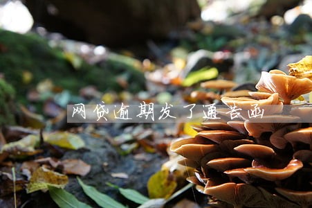 网贷逾期发了通告函 网贷逾期发了通告函