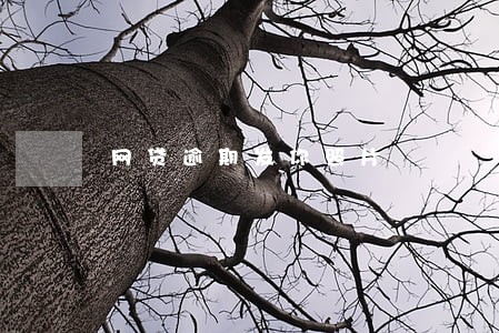 网贷逾期发你照片 网贷逾期发你照片