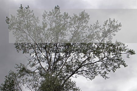 网贷逾期发侮辱信息 网贷逾期发侮辱信息