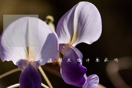 网贷逾期发信件要收吗 网贷逾期发信件要收吗