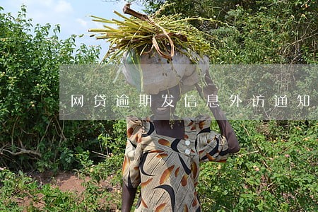 网贷逾期发信息外访通知 网贷逾期发信息外访通知