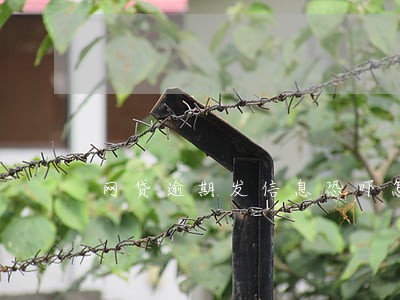 网贷逾期发信息恐吓怎么办 网贷逾期发信息恐吓怎么办