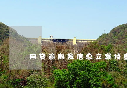 网贷逾期发信息立案侦查 网贷逾期发信息立案侦查