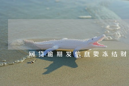 网贷逾期发信息要冻结财产 网贷逾期发信息要冻结财产
