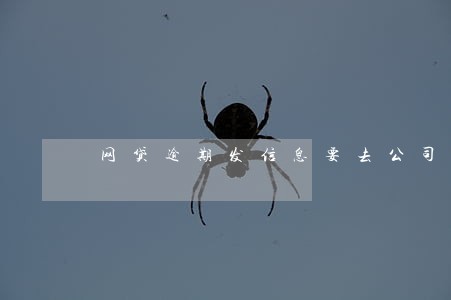 网贷逾期发信息要去公司找我 网贷逾期发信息要去公司找我