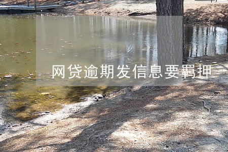 网贷逾期发信息要羁押 网贷逾期发信息要羁押