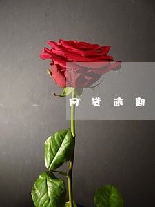 网贷逾期发信息说什么取保候审 网贷逾期发信息说什么取保候审