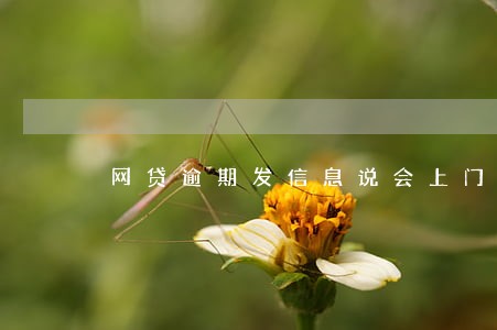 网贷逾期发信息说会上门是真的 网贷逾期发信息说会上门是真的