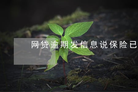 网贷逾期发信息说保险已代偿