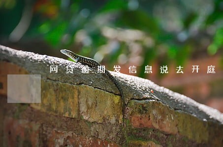网贷逾期发信息说去开庭 网贷逾期发信息说去开庭